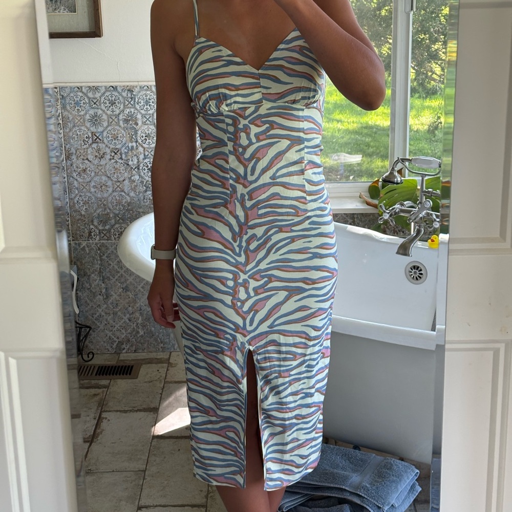 PrettyLittleThing Pastel Zebra Print Midi Dress